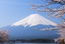 富士山の写真